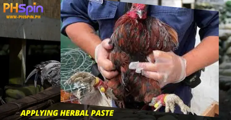 Applying Herbal Paste