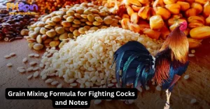 Grain Mixing Formula for Fighting Cocks and Notes